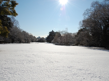 Shinjyuku Garden Snow (3)_S.JPG