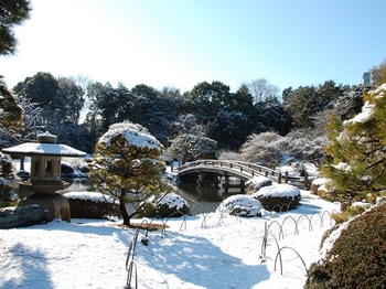 Shinjyuku Garden Snow (5)_S.JPG