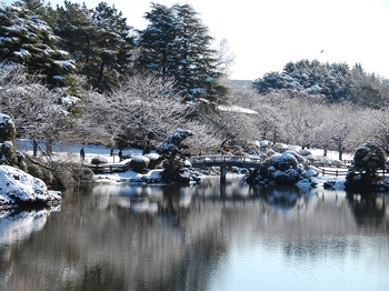 Shinjyuku Garden Snow (6)_S.JPG