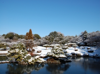 Shinjyuku Garden Snow (7)_S.JPG