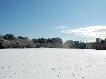Shinjyuku Garden Snow (9)_S.JPG