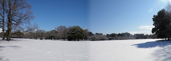 Snow Panorama-2.jpg